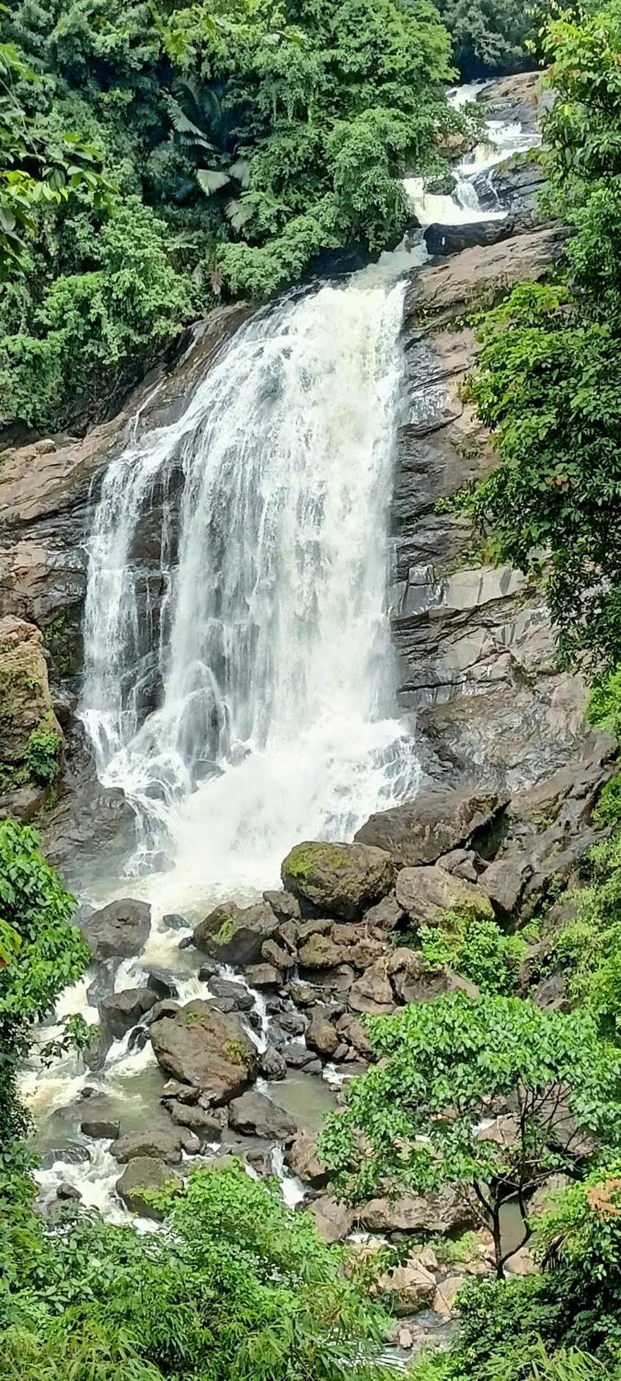 4 Acre Woods Farm Stay Munnar Ruang foto